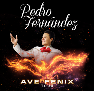 PEDRO FERNANDEZ