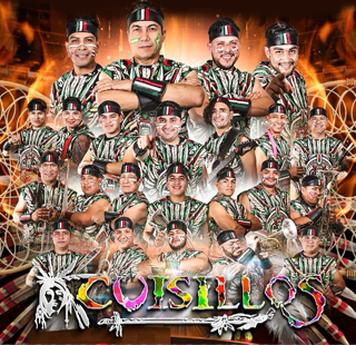 CUISILLOS